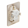 Розетка двухместная с рамкой Schneider Electric Atlasdesign, с заземлением,
